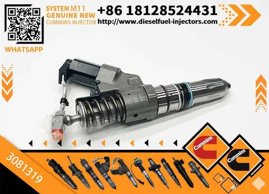 Special Offer Fuel Injector Assembly 3081319 for Cum-mins Engine M11 Series