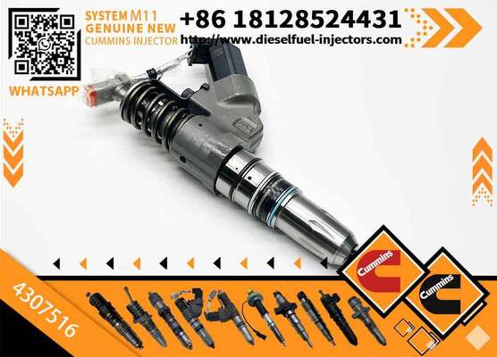 High Quality New Diesel Fuel Injector 4307516 for Cu-mmins N14 Shantui SD22 Bulldozer