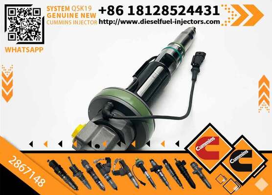 Y431K05393 0986435905 2882078 4964170 2867148 4955527 BUER High Quality Fuel Injector Compatible QSK19 QSK38 QSK50 QSK60 Crawler