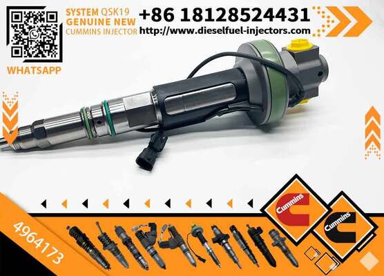 Dismantling the Machine Fuel Injector Fits QSK19 QSK60 Engine F00BL0J015 4964173 0986435911
