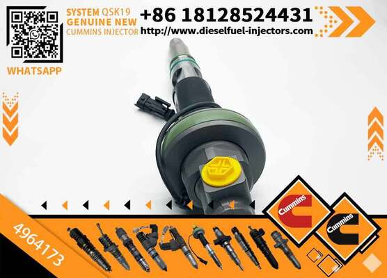 Dismantling the Machine Fuel Injector Fits QSK19 QSK60 Engine F00BL0J015 4964173 0986435911