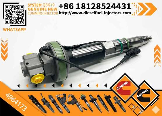 Dismantling the Machine Fuel Injector Fits QSK19 QSK60 Engine F00BL0J015 4964173 0986435911