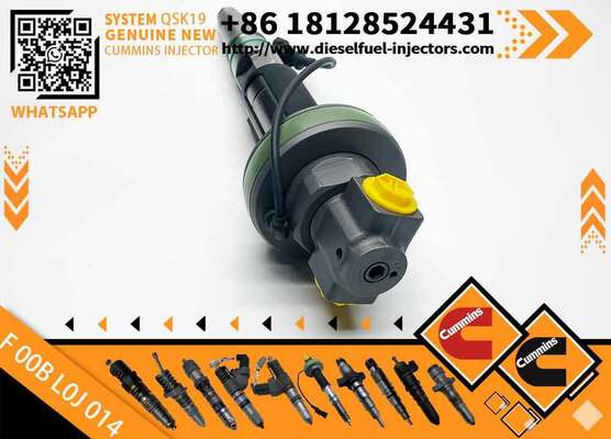 NINE Brand Auto Parts Diesel Injector F00BL0J019 Common Rail Injector F 00B L0J 019