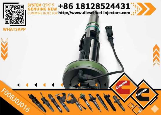 High Quality Fuel Injector 4964173 F00BJ0J016 for QSK19 ENGINE
