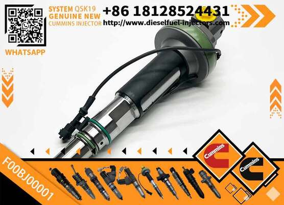 Specialized in Manufacturing High-quality Engine Fuel Injector F00BJ00001 F00BJ00006 F00BJ00009 4089972 4955526 for QSK19 Engine