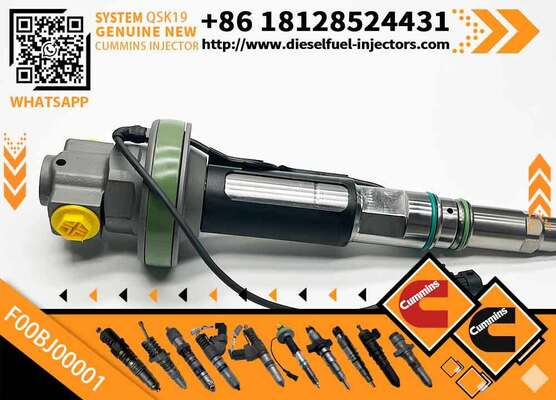 Specialized in Manufacturing High-quality Engine Fuel Injector F00BJ00001 F00BJ00006 F00BJ00009 4089972 4955526 for QSK19 Engine