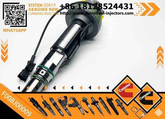 Genuine Fuel Injector Assembly F00BJ00002 01986435613 0986435902 0986435905 0986435616 F00BJO0008For Qsk19 Engine