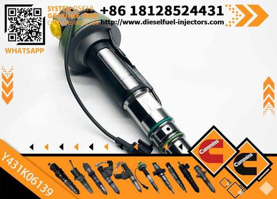 Genuine Fuel Injector AssemblyY431KO5205 Y431K05420 Y431KO5417 F00BLOJ017 F00BLOJ018 for Qsk19 Engine