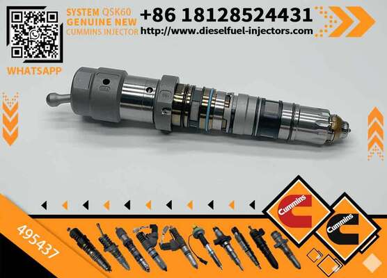 High Quality Engine Diesel Fuel 1846348 4062569 4954434