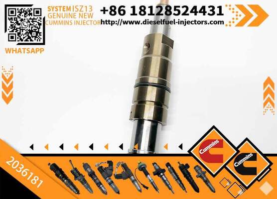 High Quality Common Rail Diesel Fuel Injector for Sca-nia XPI DC09 DC13 1881565 2894920 2031836 1874425 1933613 2086663 4307217
