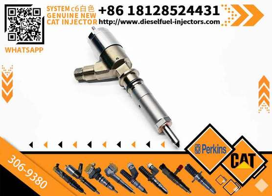 Cat320D Hot Selling Common Rail Injector 326-4700 326-4756 10R-7575 320-0655 306-9380 2645A734 2645A751