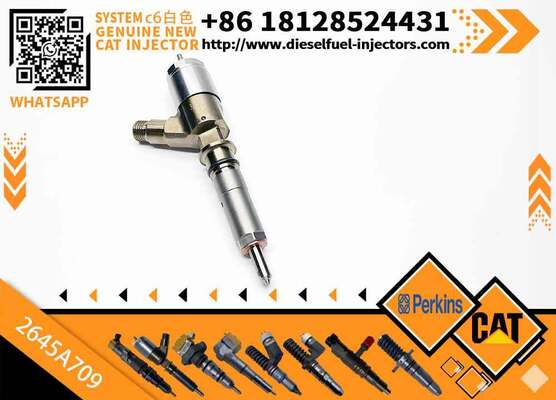 282-0490 High Quality Common Rail Fuel Injector 282-0490 2820490 2645A709 for C6.6 Engine