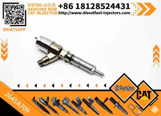 282-0490 High Quality Common Rail Fuel Injector 282-0490 2820490 2645A709 for C6.6 Engine