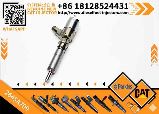 282-0490 High Quality Common Rail Fuel Injector 282-0490 2820490 2645A709 for C6.6 Engine