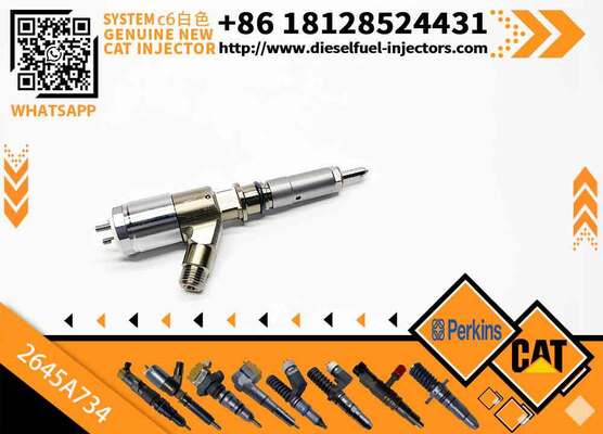 306-9380 10R-7672 2645A734 382-0480 Common Rail Fuel Injector for C6.6 C4.4 C3.4 Engine Fuel Injector 3820480 3069380