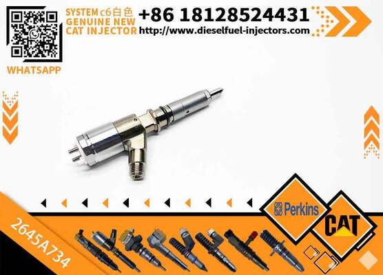 306-9380 10R-7672 2645A734 382-0480 Common Rail Fuel Injector for C6.6 C4.4 C3.4 Engine Fuel Injector 3820480 3069380