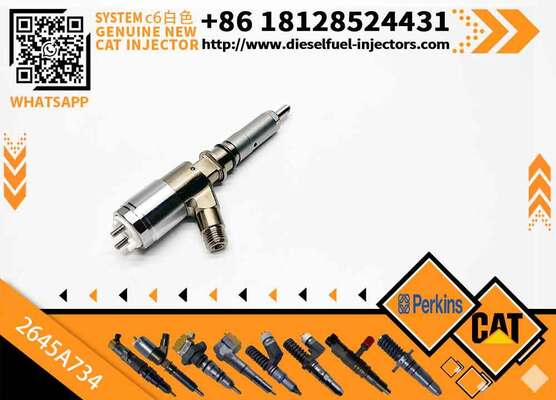306-9380 10R-7672 2645A734 382-0480 Common Rail Fuel Injector for C6.6 C4.4 C3.4 Engine Fuel Injector 3820480 3069380