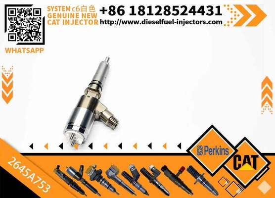 New Common Rail Injector 321-3600 2645A753 320-0677 2645A746 320-0690 2645A749 for diesel Engine CAT