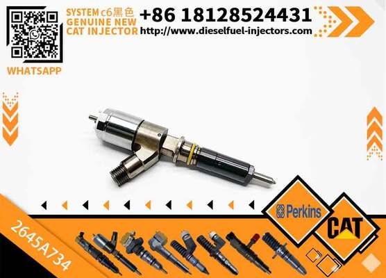 Cat320D Hot Selling Common Rail Injector 326-4700 326-4756 10R-7575 320-0655 306-9380 2645A734 2645A751