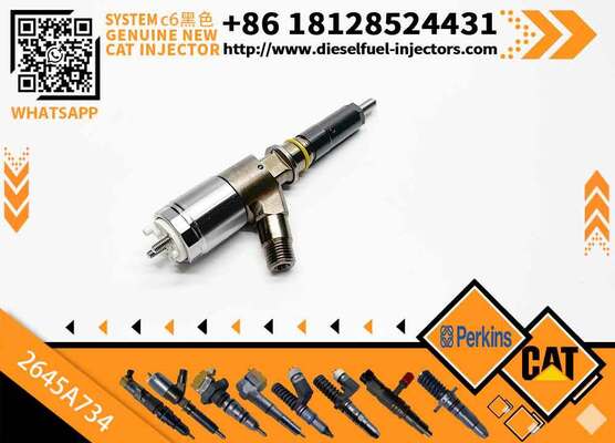 Cat320D Hot Selling Common Rail Injector 326-4700 326-4756 10R-7575 320-0655 306-9380 2645A734 2645A751