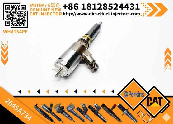 Cat320D Hot Selling Common Rail Injector 326-4700 326-4756 10R-7575 320-0655 306-9380 2645A734 2645A751
