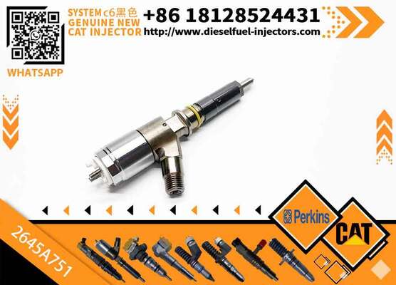 Common Rail Fuel Injector 320-0655 2645A751 3200655 10R-7674 for Excavator E320D C6.6 Engine