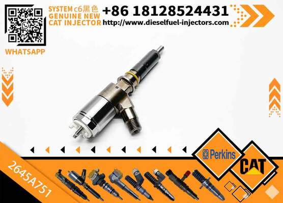 Common Rail Fuel Injector 320-0655 2645A751 3200655 10R-7674 for Excavator E320D C6.6 Engine