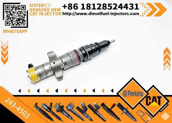 New Common Rail Injector 20R-8066 20R-8057 557-7627 243-4503 20R-9079 2OR-8071 for diesel Engine CAT