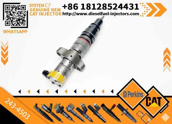New Common Rail Injector 20R-8066 20R-8057 557-7627 243-4503 20R-9079 2OR-8071 for diesel Engine CAT