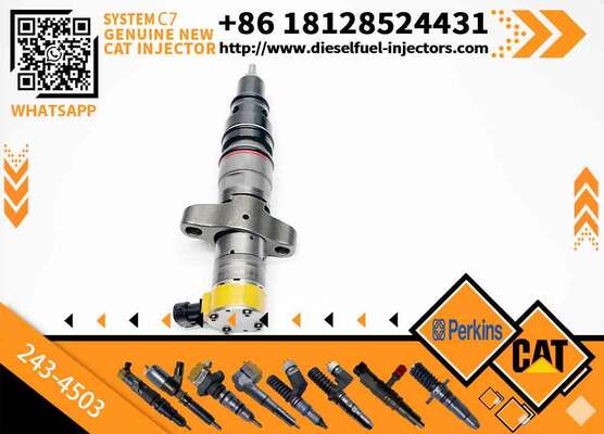 New Common Rail Injector 20R-8066 20R-8057 557-7627 243-4503 20R-9079 2OR-8071 for diesel Engine CAT