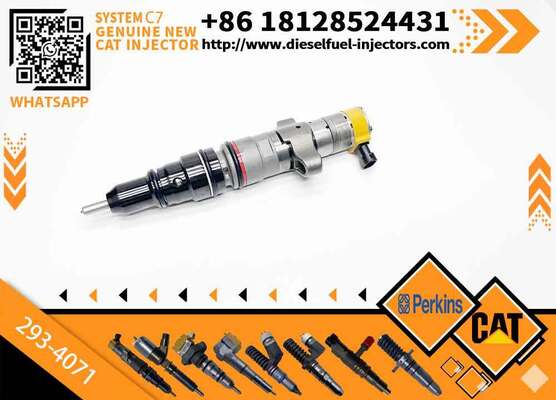 Fuel Injector Assembly 387-9439 172-5780 293-4071 387-9484 236-0957 293-4072 for CAT C9