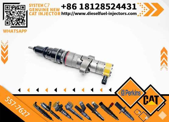 C7 Fuel Injector Replacement Repair Parts OEM 20R-8066 557-7627 20R-9079 328-2582 387-9441 328-2587 for C-aterpillar Spares