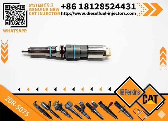Genuine Original Common Rail Fuel Injector 456-3509 20R-5075 456-3589 20R-5073 for Engine C9.3