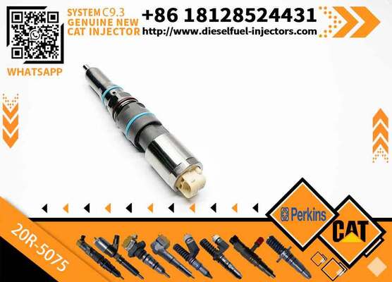 Genuine Original Common Rail Fuel Injector 456-3509 20R-5075 456-3589 20R-5073 for Engine C9.3