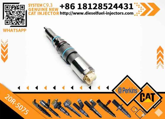 Genuine Original Common Rail Fuel Injector 456-3509 20R-5075 456-3589 20R-5073 for Engine C9.3