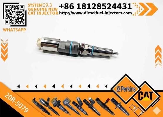 C-A-T Diesel Fuel Injector C9.3 456-3493 20R-5036 367-4293 20R-5079 for C-aterpillar Excavator Engine (Stainless Steel)