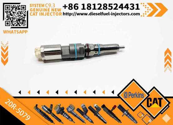 C-A-T Diesel Fuel Injector C9.3 456-3493 20R-5036 367-4293 20R-5079 for C-aterpillar Excavator Engine (Stainless Steel)