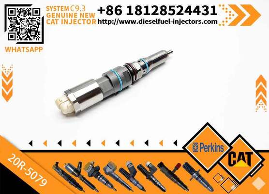 C-A-T Diesel Fuel Injector C9.3 456-3493 20R-5036 367-4293 20R-5079 for C-aterpillar Excavator Engine (Stainless Steel)