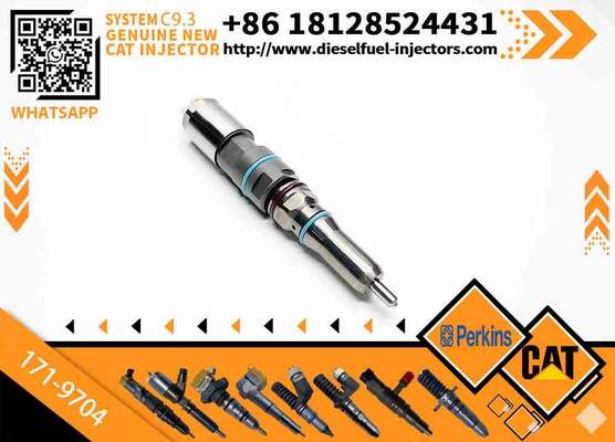 New Fuel Injector 171-9704 1719704 20R-5075 3861809 386-1809 382-0709 4563493 456-3493 for C-aterpillar C-aterpillar C9.3 D6T D7E