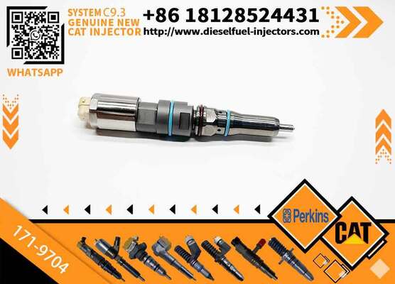 New Fuel Injector 171-9704 1719704 20R-5075 3861809 386-1809 382-0709 4563493 456-3493 for C-aterpillar C-aterpillar C9.3 D6T D7E