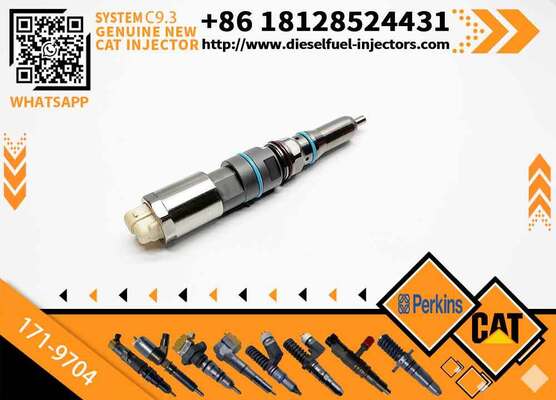 New Fuel Injector 171-9704 1719704 20R-5075 3861809 386-1809 382-0709 4563493 456-3493 for C-aterpillar C-aterpillar C9.3 D6T D7E