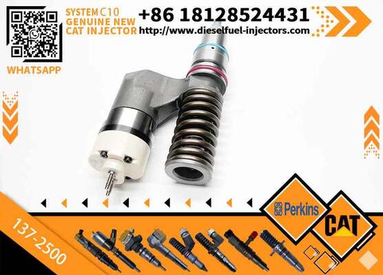 JELXEL Excavator Injector Nozzle 137-2500 212-3463 10R-0963 0R-8773 194-5083 for 316 Engine Parts