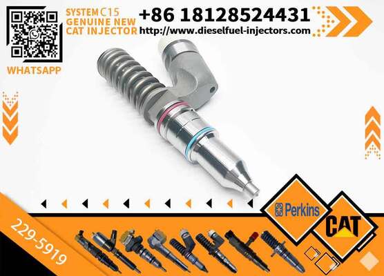 3406E C15 Engine Diesel Fuel Injector CA2295919 229-5919 10R-1000 10R1000 for C-aterpillar Truck