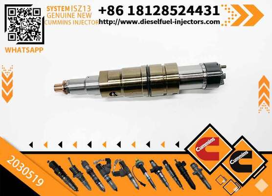 Wholesale Fuel Injector 2031835 2872289 2872544 2057401 2029622 1948565 2030519 2031836 2086663 with More Models in Good Service