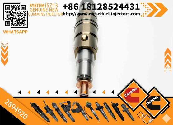 Diesel Engine Parts Common Rail Fuel Injector 2872544 2872405 2894920 4307217 5491721 4326959 for C-ummins Scania XPI Injector