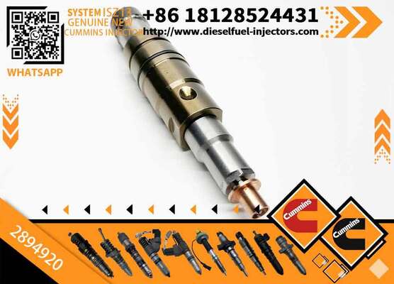Diesel Engine Parts Common Rail Fuel Injector 2872544 2872405 2894920 4307217 5491721 4326959 for C-ummins Scania XPI Injector