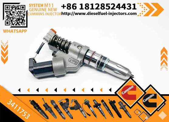 4026222 4903319 4061851 4903472 3411753 3411845 3411754 3411756 4902921 Fuel Rail Injector Assy QSMI1 M11 Diesel Engine R275