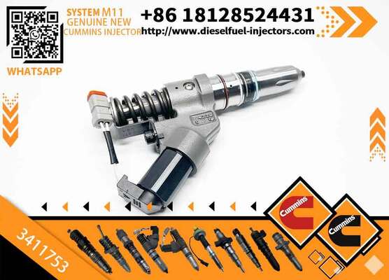 4026222 4903319 4061851 4903472 3411753 3411845 3411754 3411756 4902921 Fuel Rail Injector Assy QSMI1 M11 Diesel Engine R275