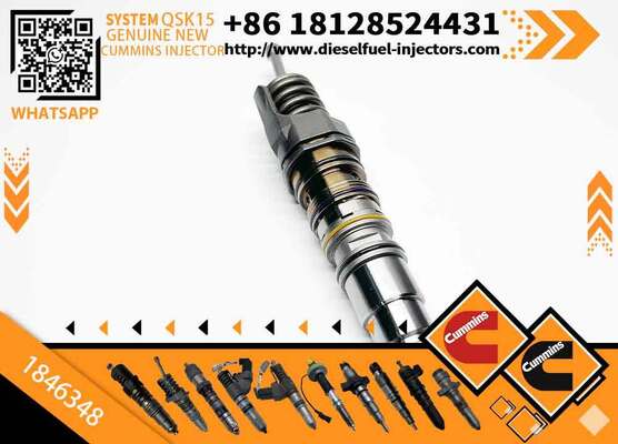 Common Rail Injector 1846347 or Fuel Injector 1846351 1846350 1846349 1846348 1846347