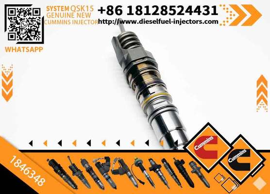 Common Rail Injector 1846347 or Fuel Injector 1846351 1846350 1846349 1846348 1846347